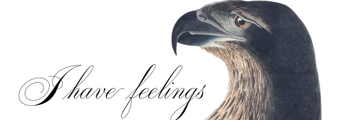 bolbicatelan's profile banner image
