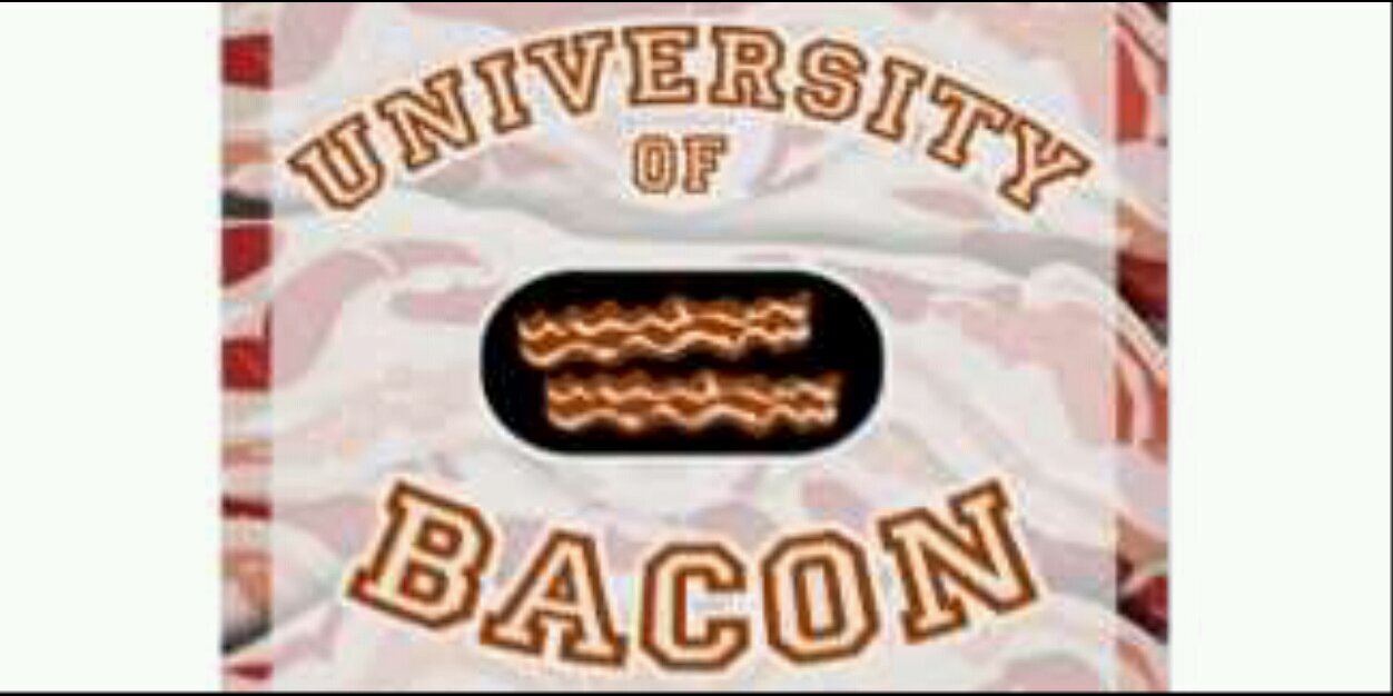 Sweet Madison The Lab 🥓 banner