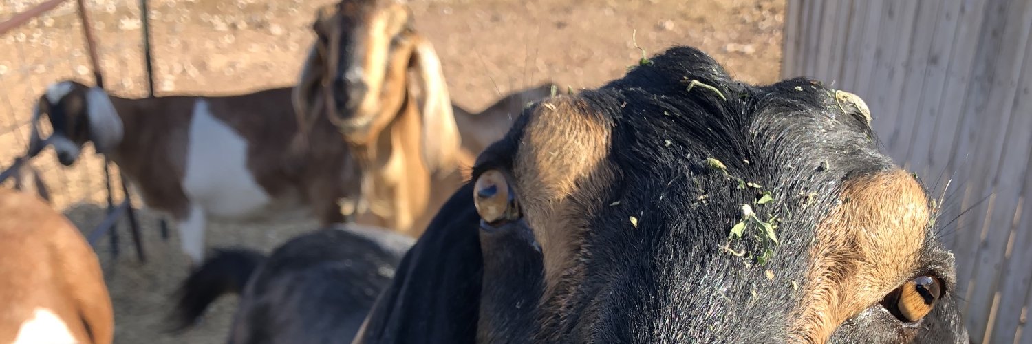 kwormrad's profile banner image