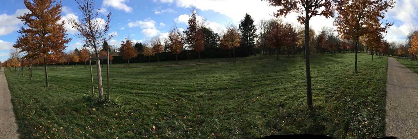 J Matusevich, perpetually exhausted banner