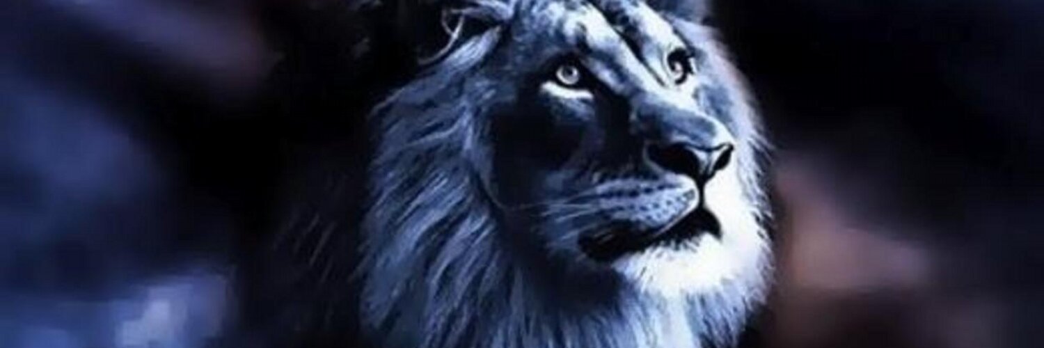 Mehal Rockefeller (@RockefellerMD) / Twitter