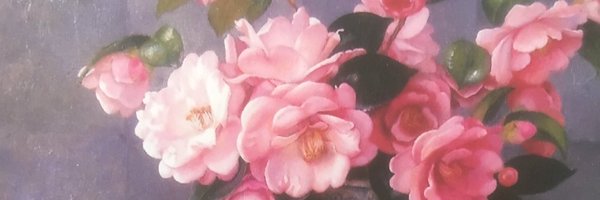 setu_ Profile Banner