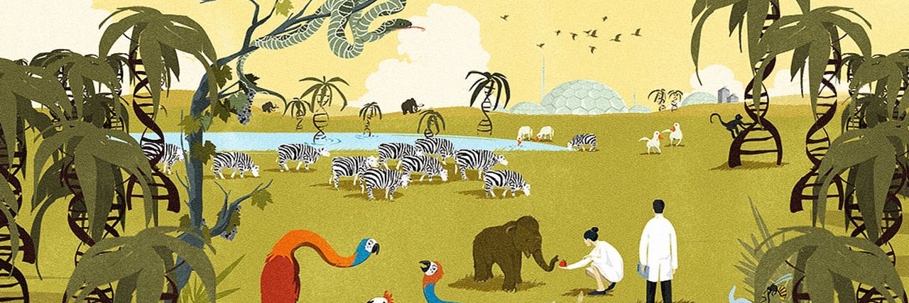 Julius Fredens banner