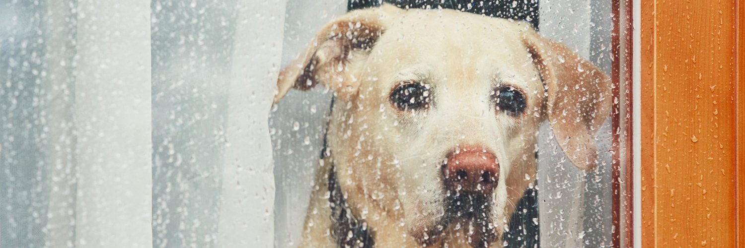 kendyngv's profile banner image
