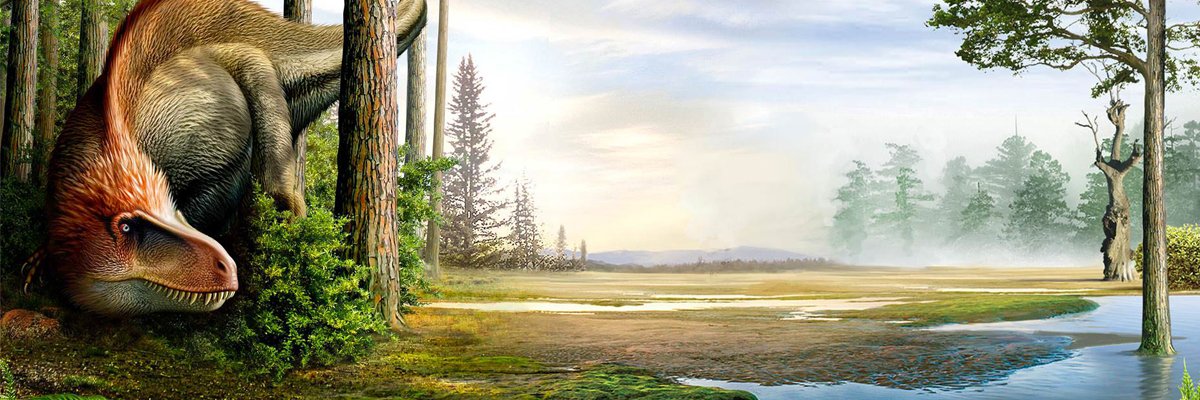 WOD_app's profile banner image
