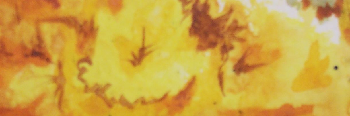 hinerdio's profile banner image