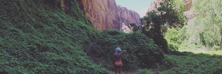 nicolepase4's profile banner image