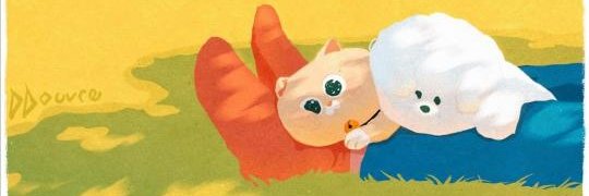 Achi banner