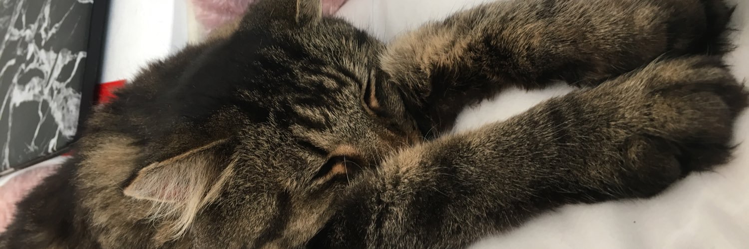 MiaMokk's profile banner image