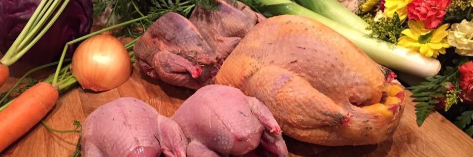 Bay Tree Game Co banner