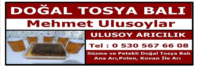mulusoylar's profile banner image
