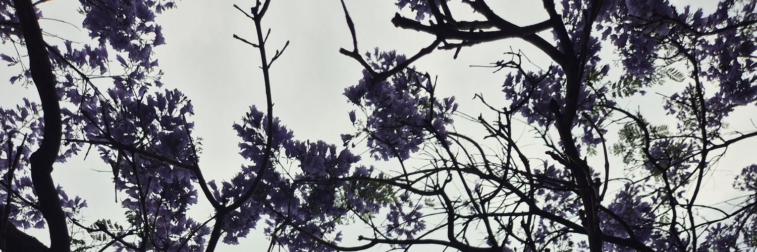 MarielleJM's profile banner image
