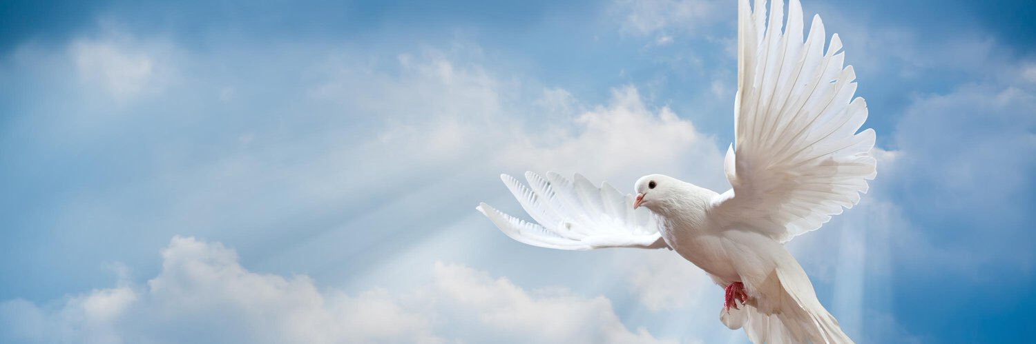 ThinkerRebel's profile banner image