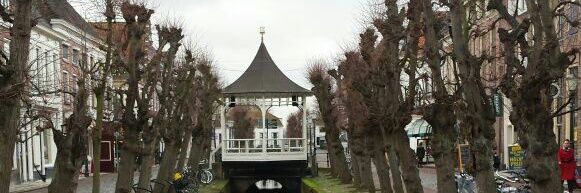 Manuel García banner