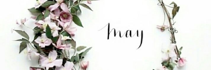 meizarin's profile banner image