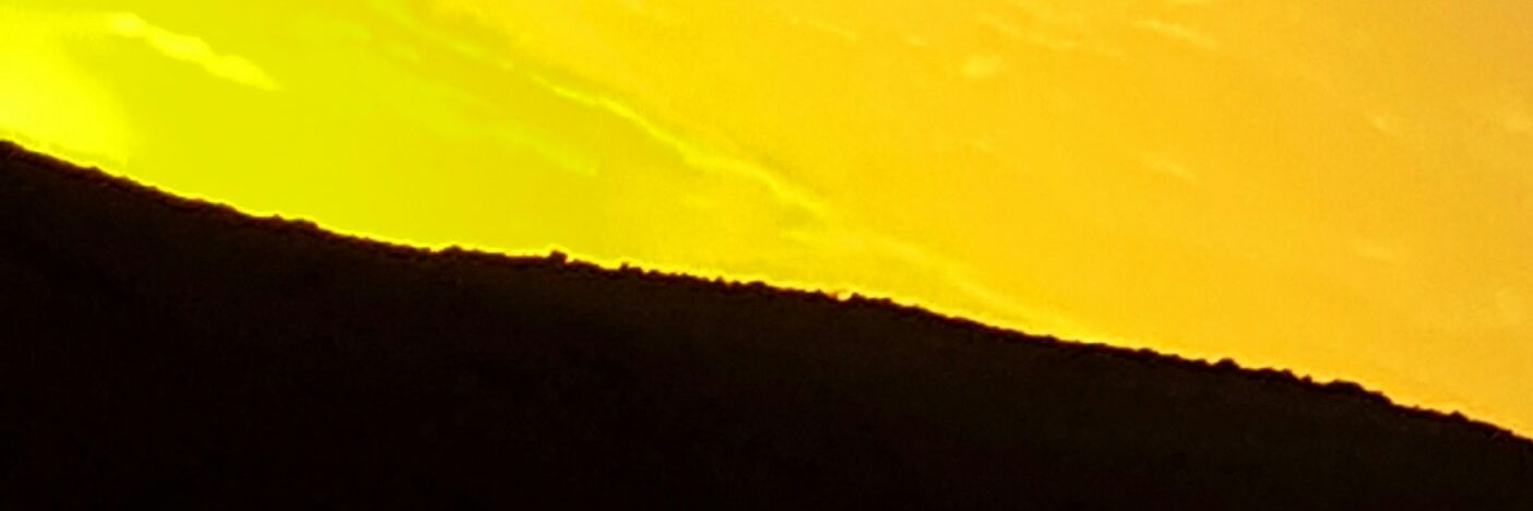 فوفو المطيري banner