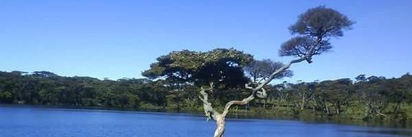 Ex Supir truk banner