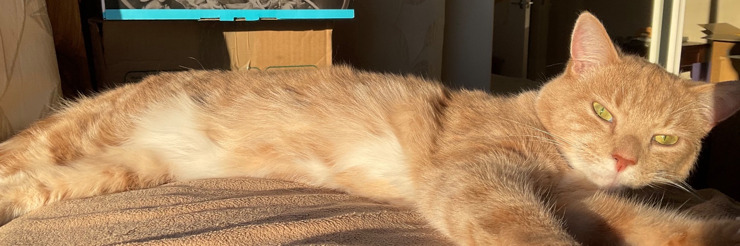 Peter Chivers banner