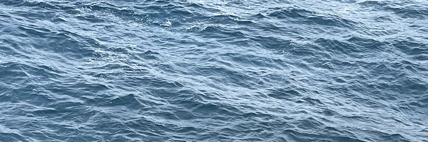 Rico_tabasco's profile banner image