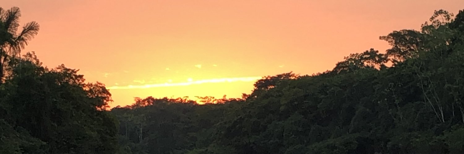 sv3098's profile banner image