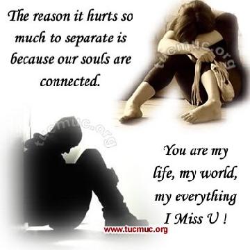 saima_jaffer's profile banner image