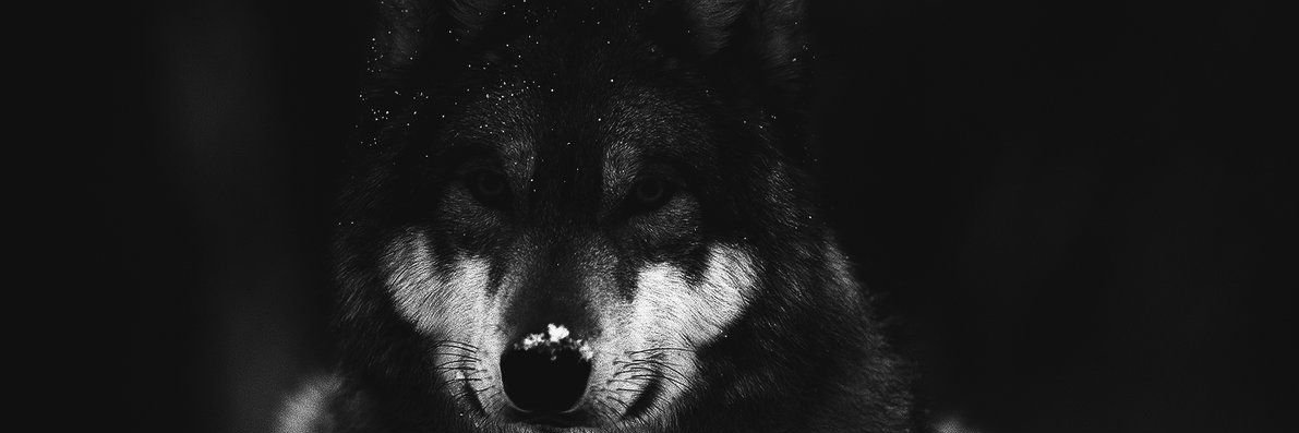 PrudentYans's profile banner image