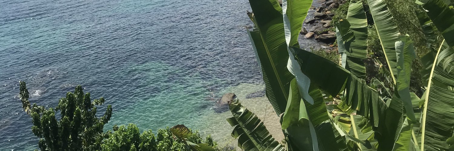 Leticiabreu__'s profile banner image