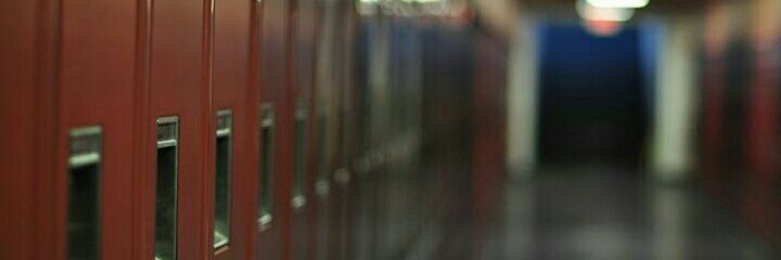 ▶Secretario banner