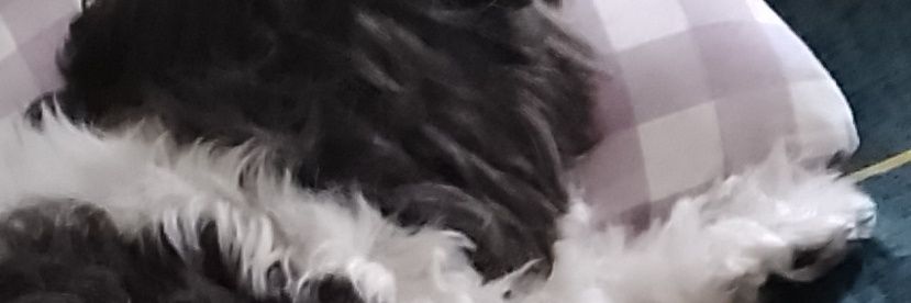 petiteminnie's profile banner image