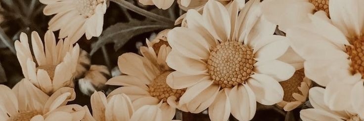 _charismiller's profile banner image