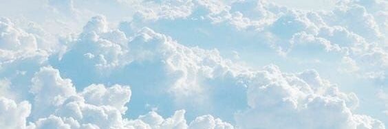 aavocadoree's profile banner image