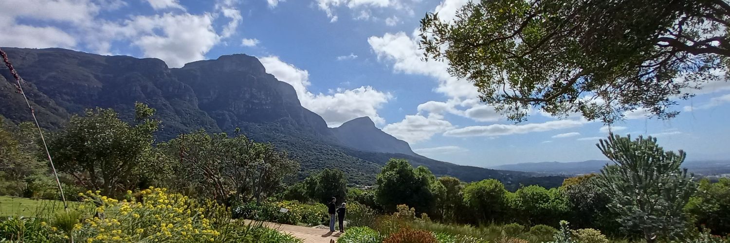 Rachel Thomas banner