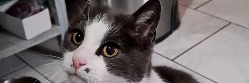 eniloc_r's profile banner image