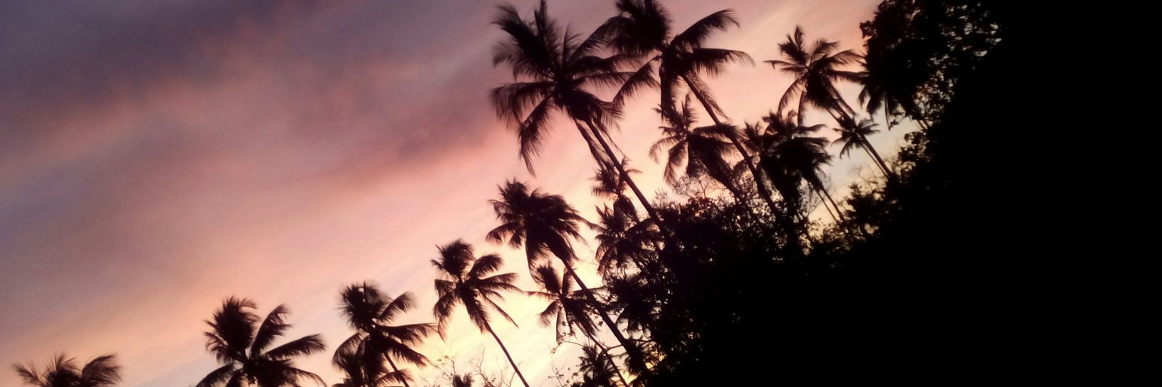 RayaneA15's profile banner image