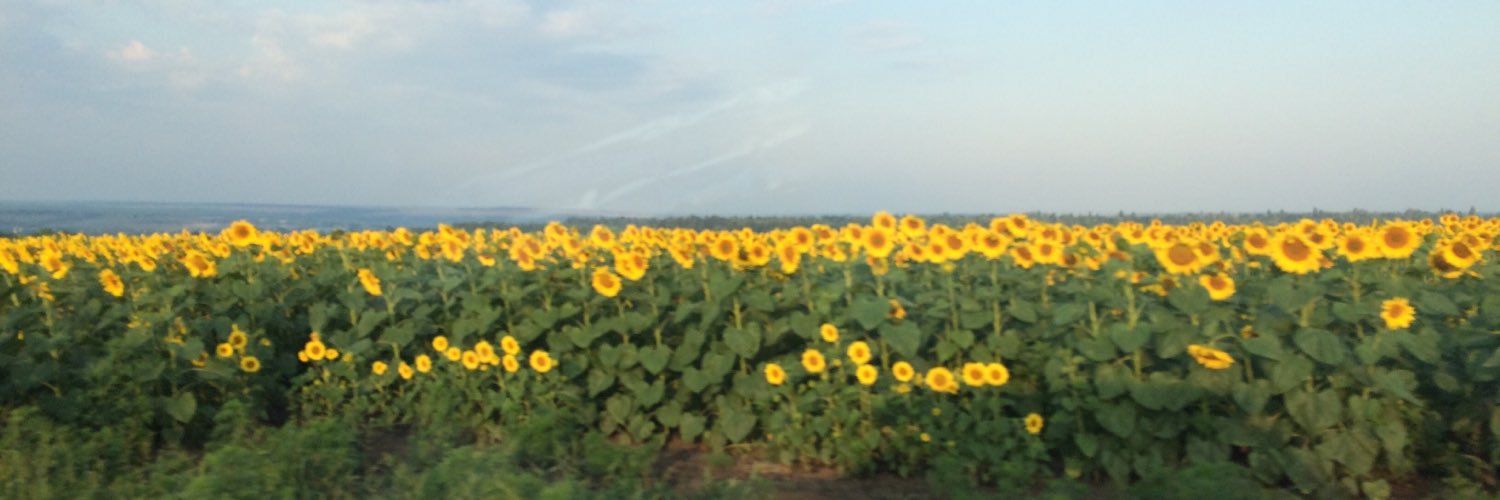 ellfi42's profile banner image