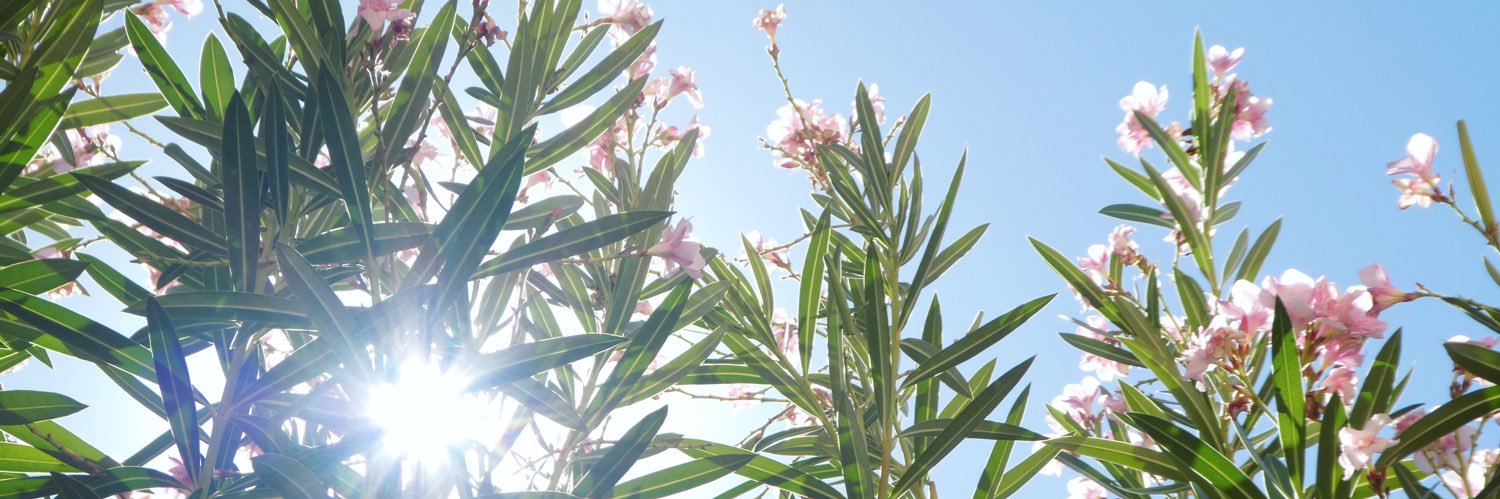positive_xox's profile banner image