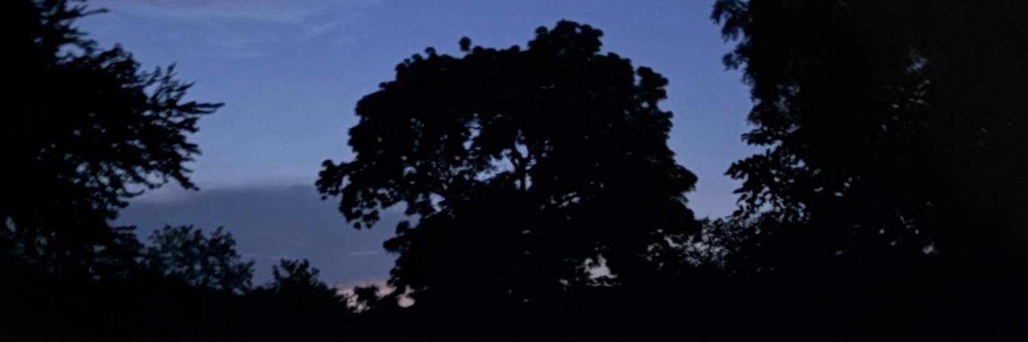 Vikramlede's profile banner image