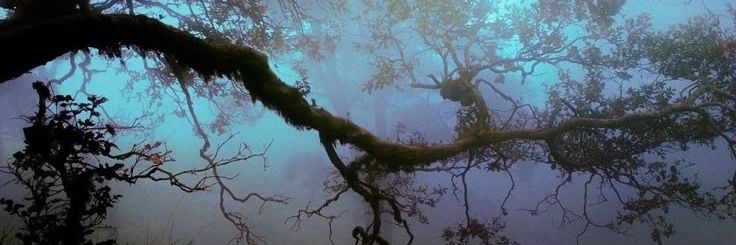 слава готовит кушать banner