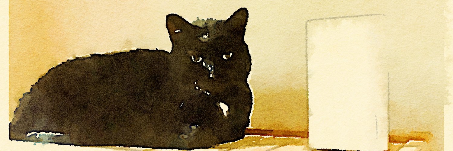 drfluellen's profile banner image