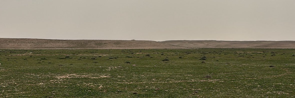 عزام ' ⚜️ banner