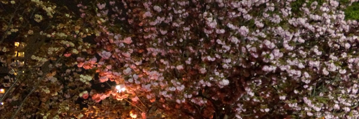 ssai_ssaka's profile banner image