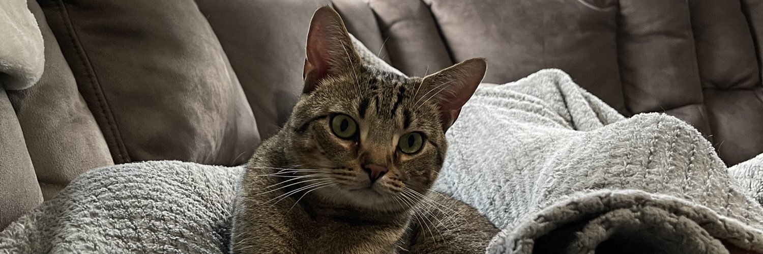 Lincoln Ottersbach banner