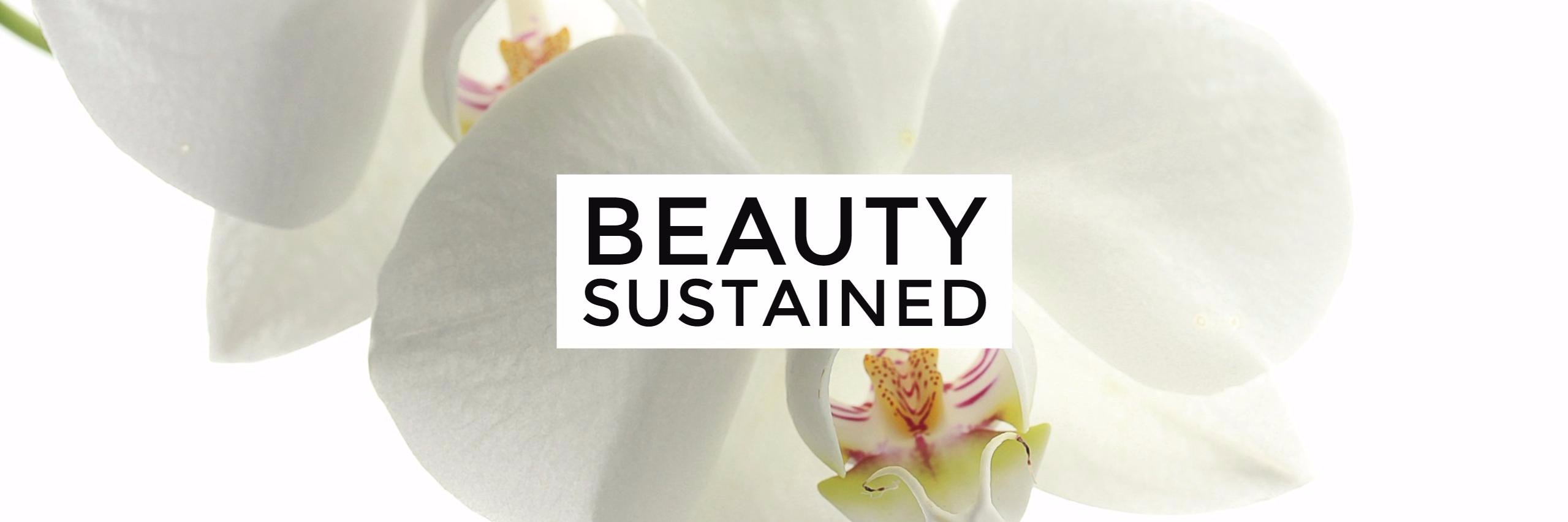 Beaut_Sustained's profile banner image
