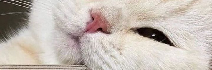 gitardd's profile banner image