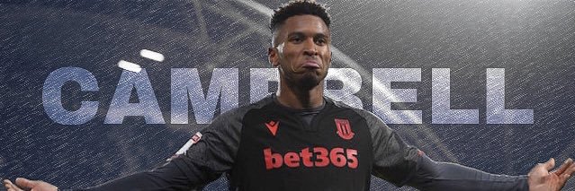 wiggy banner