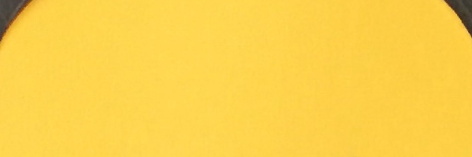 theRadiantParty's profile banner image