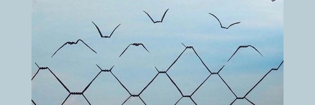 EMPEROR OF FUCKSVILLE.eth 🏰 banner