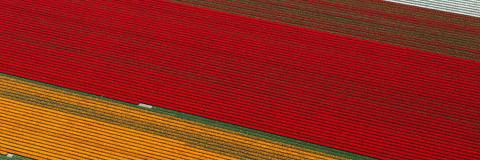 Design_Aus's profile banner image
