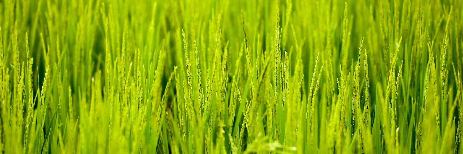 Stuart Fraser banner