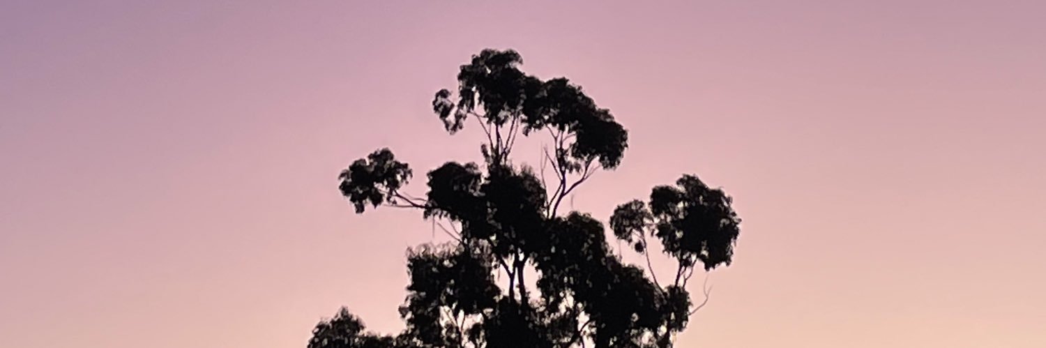 BohemiaMo's profile banner image